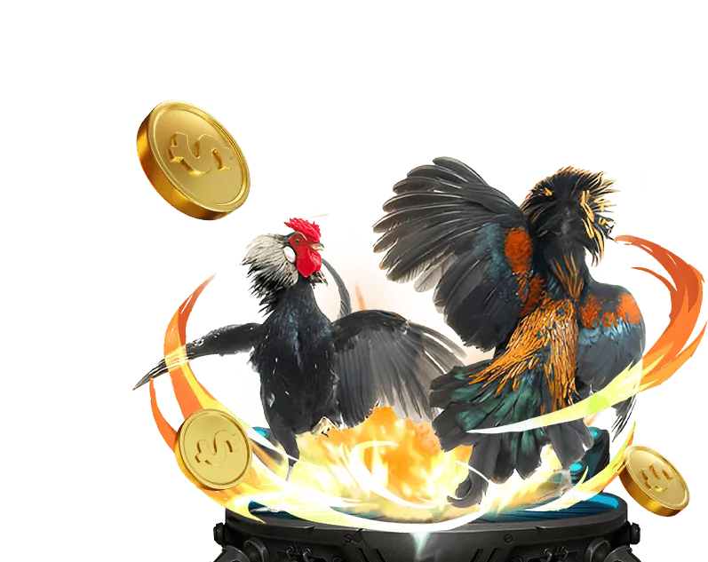 Quy định và luật đá gà